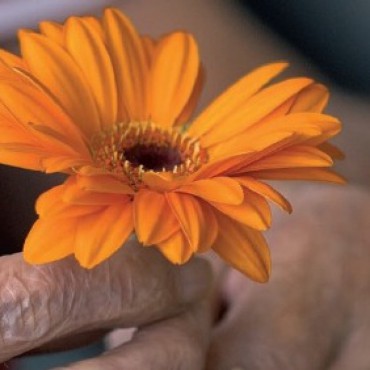 Taal van dementie wordt poëzie